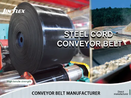 Steel Cord Conveyor Belt