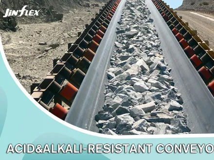 Acid & Alkali Resistant Conveyor Belt