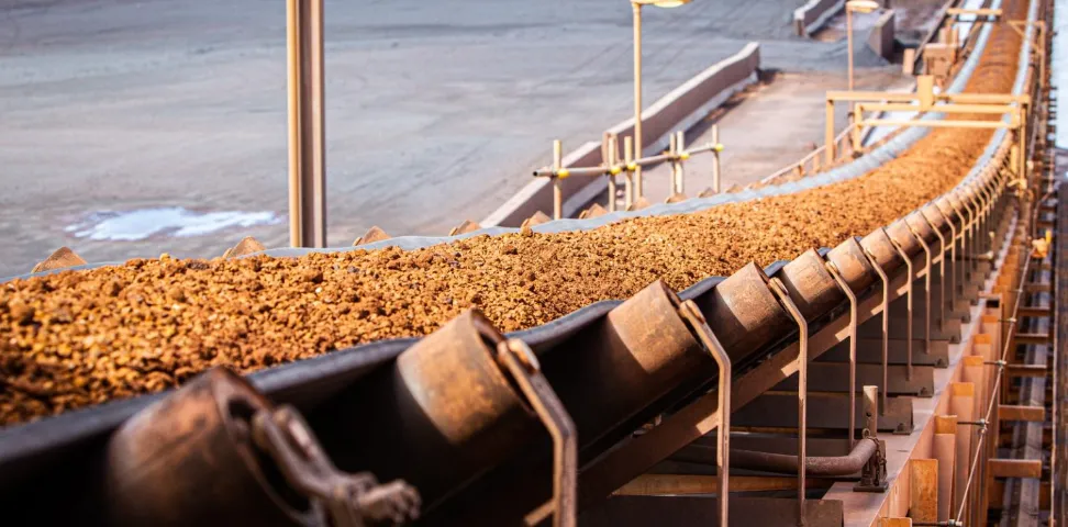 Mineral processing plants