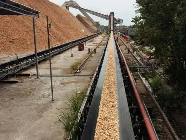 Oil Resistant Conveyor Belt
