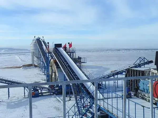 Cold Resistant Conveyor Belt