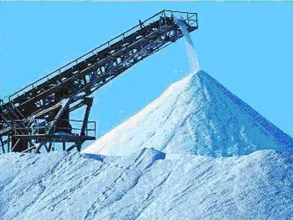 Acid & Alkali Resistant Conveyor Belt