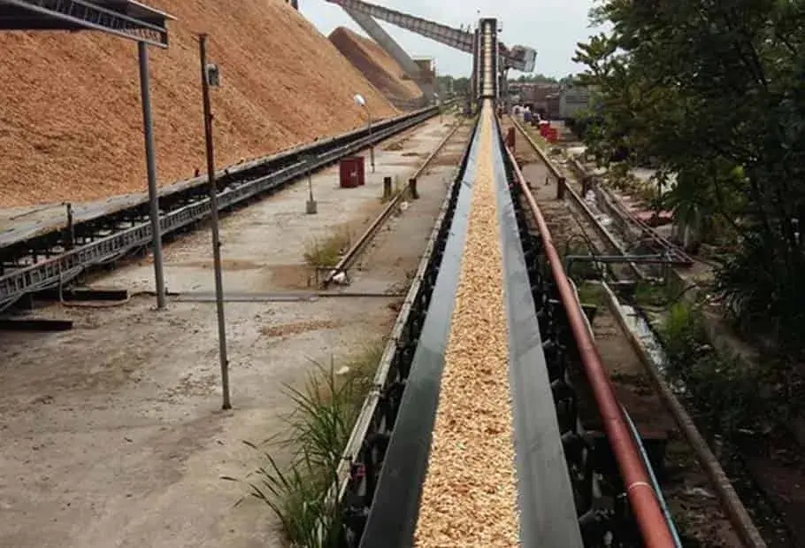 Anti-Oil Conveyor Belt