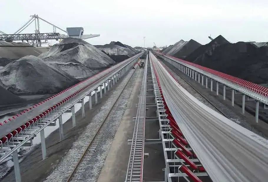 Cold Storage Conveyor Belt