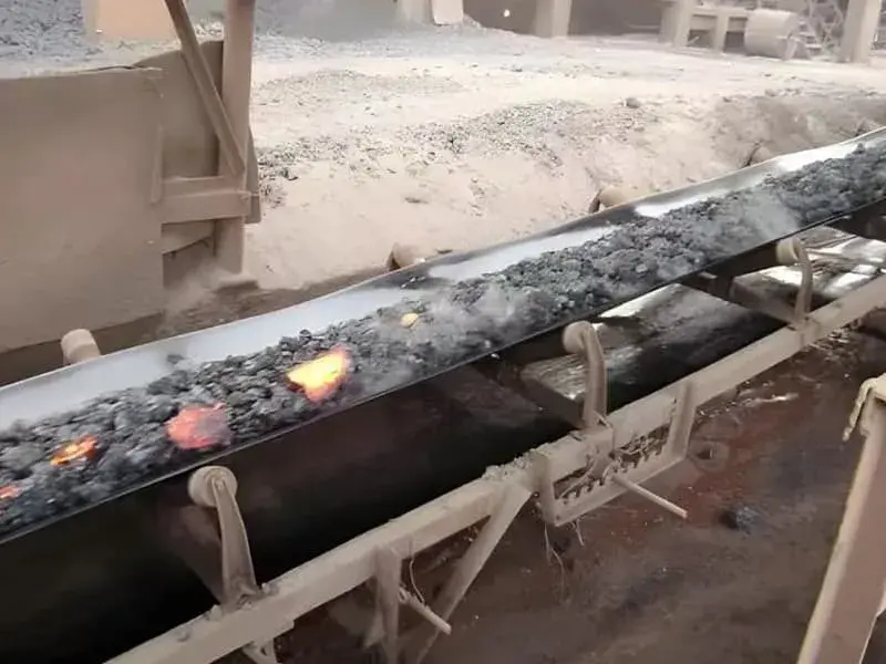 Heat Resistant Conveyor Belt
