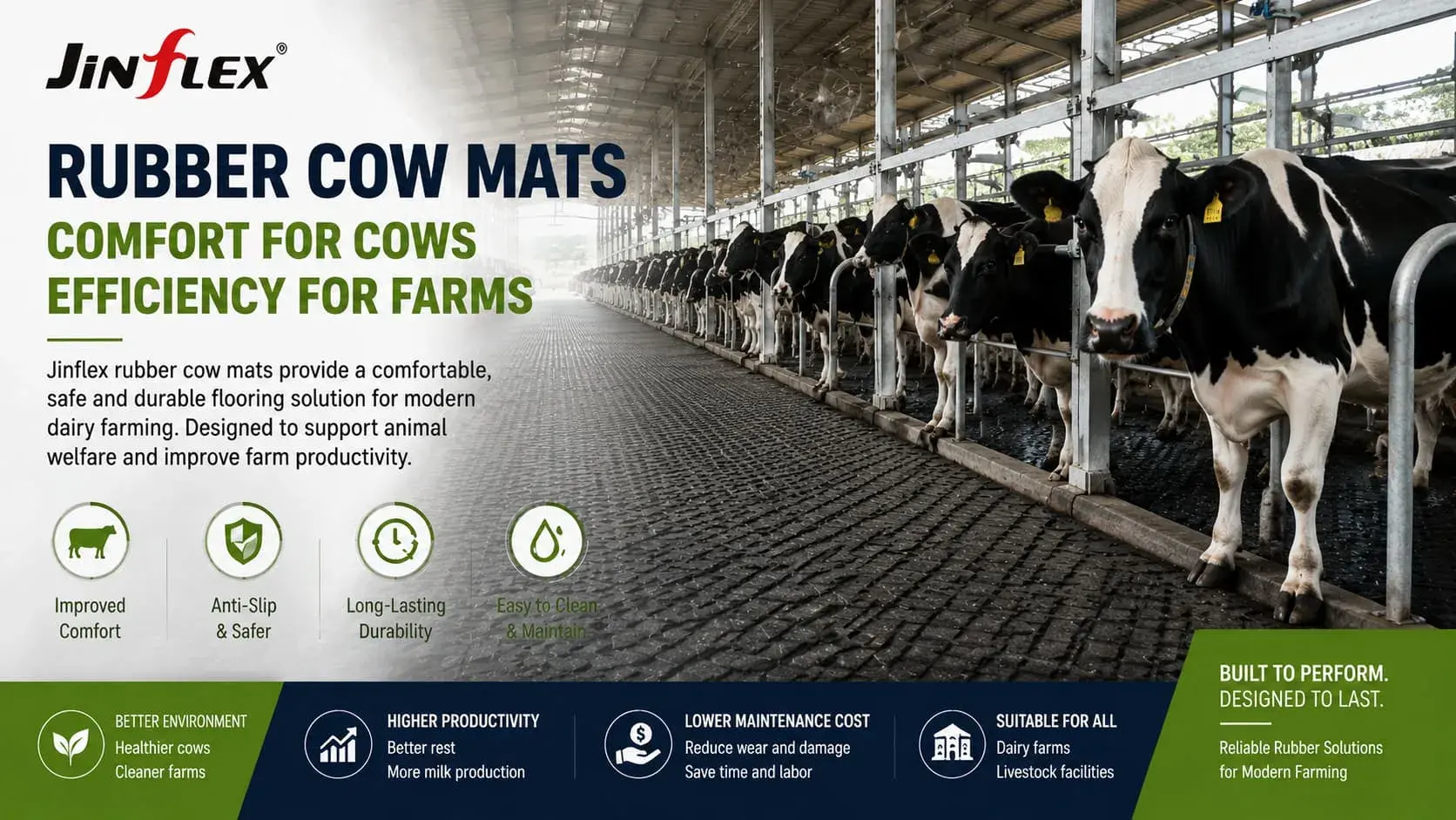 Jinflex Rubber Cow Mats Help Improve Comfort and Efficiency in Modern Dairy Farming