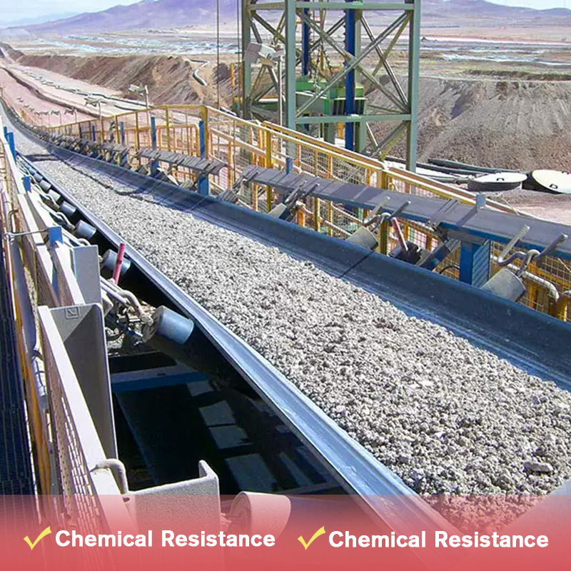 Multi-ply Fabric Conveyor Belt